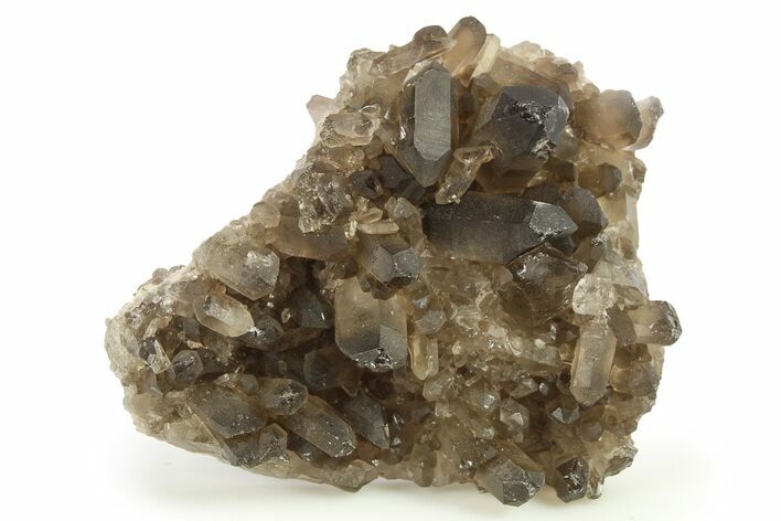 Dark Smoky Quartz Crystal Cluster - Brazil #273012